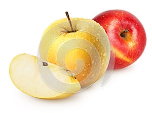 Isolated wet apples. Whole yellow (golden) and red apple fruits with slice isolated on white, with clipping path.