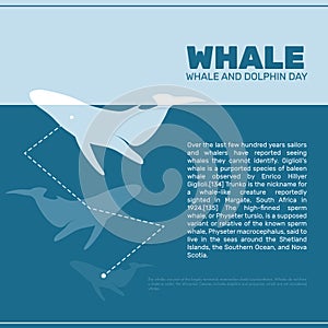 Isolated whale vector illustration. Ocean mammal on the blue background image.