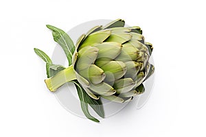 Isolated on a white background, a fresh artichoke.