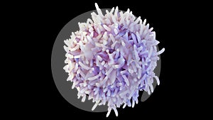 Isolated white blood cells called lymphocytes or B cells photo