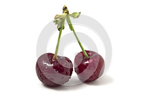 Isolated on white cherries with dew drops. Two ripe berries. Freshness of summer fruits in the frame