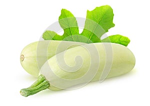 Isolated white courgettes