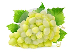 Isolated white grapes