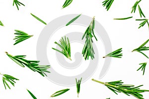 Isolated on white rosemary textured top view flat lay background with green, freshly cut leaves, twigs and branches.