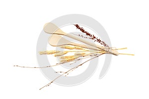 Isolated on white wheat with wooden spoons flatlay