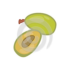 Isolated on white, whole and half avocado vector design illustration, half cut green avocado style