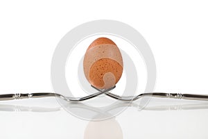 Isolated whole brown egg balanced on two forks