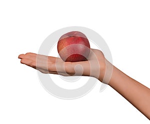 Isolated woman female hand holding a fruit red Peach on a white background