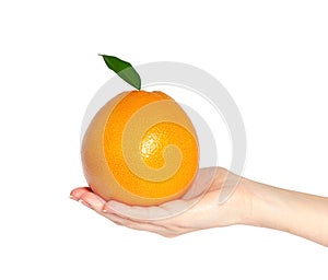 Isolated woman hand holding a orange or grapefruit with green le