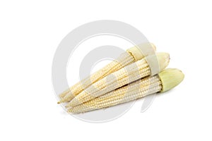 Isolated of Yellow Baby Corn