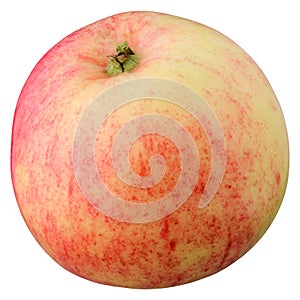 isolated yellow-pink apple. one whole garden fruit. cut out.