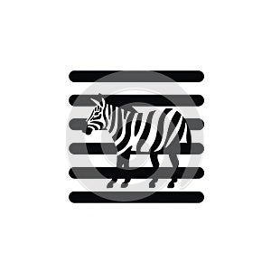 Isolated Zebra Crossing on White Background AI Generated