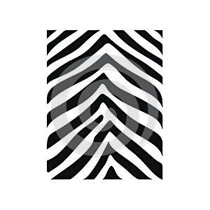 Isolated Zebra Crossing on White Background AI Generated