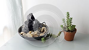 isolated zen water fountain next to a succulent