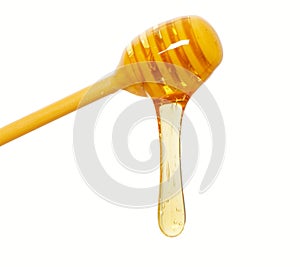 Isolation of honey dripper photo