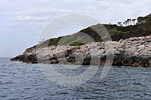 Isole Tremiti - Scogliera di Cala delle Murene dalla barca