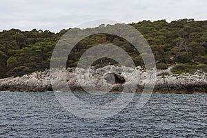 Isole Tremiti - Scogliera di Cala dello Zio Cesare dalla barca photo