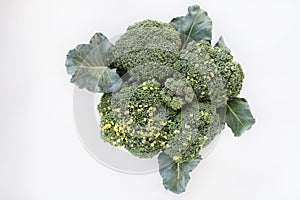 Isoleted top view green Broccoli vegetables