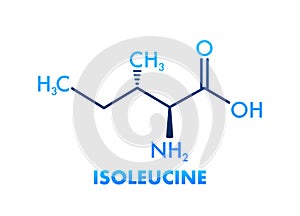 Isoleucine amino acid. Chemical molecular formula. Vector illustration.