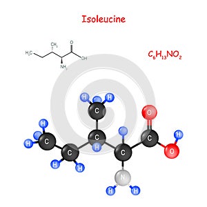 Isoleucine is an essential amino acid. Chemical structural formula and model of molecule