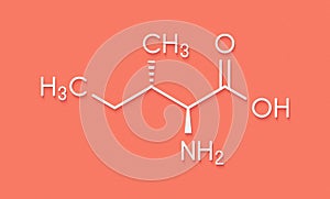 Isoleucine L-isoleucine, Ile, I amino acid molecule. Skeletal formula.