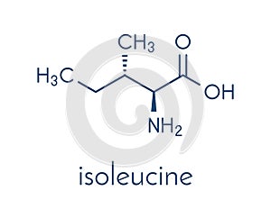 Isoleucine L-isoleucine, Ile, I amino acid molecule. Skeletal formula.