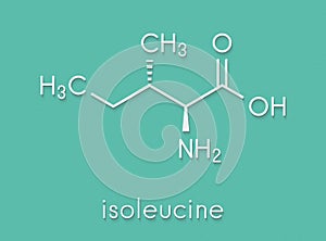 Isoleucine L-isoleucine, Ile, I amino acid molecule. Skeletal formula.
