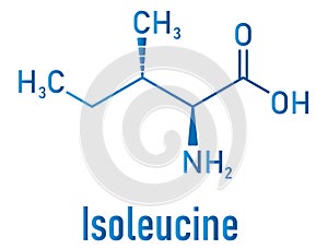 Isoleucine, L-isoleucine, Ile, I amino acid molecule. Skeletal formula.