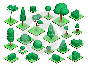 Isometric 3d trees. City park or forest tree plants, bushes, flowers pots. Spruce, palm tree, garden green fences