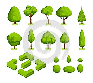 Isometric 3d vector park and garden trees and bushes. Green forest plants collection