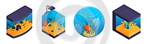 Isometric aquaruim set with four isolated aquariums of different shape with fishes and aquascaping elements seaweed vector