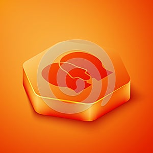 Isometric Bipolar disorder icon isolated on orange background. Orange hexagon button. Vector