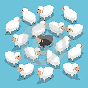 Isometric black sheep in the flock