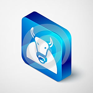 Isometric Bull icon isolated on grey background. Spanish fighting bull. Blue square button. Vector