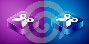 Isometric Butterfly icon isolated on blue and purple background. Square button. Vector