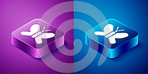 Isometric Butterfly icon isolated on blue and purple background. Square button. Vector