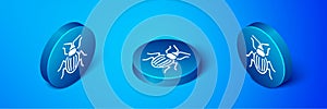 Isometric Chafer beetle icon isolated on blue background. Blue circle button. Vector