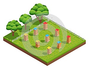 Isometric Composition Of Beekeeping Apiary