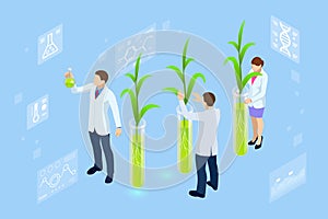 Isometric concept of laboratory exploring new methods of plant breeding and agricultural genetics. Plants growing in the