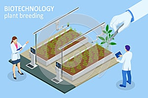 Isometric concept of laboratory exploring new methods of plant breeding and agricultural genetics. Vegetable hydroponic