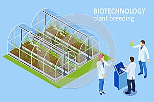 Isometric concept of laboratory exploring new methods of plant breeding and agricultural genetics. Vegetable hydroponic