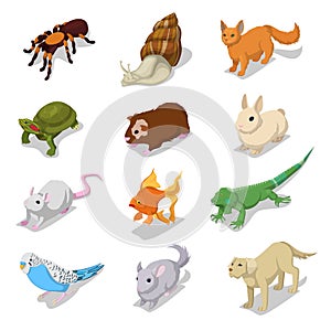 Isometric Domestic Animals Pets with Cat, Dog, Hamster and Rabbit