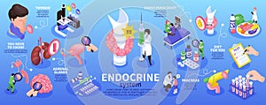 Isometric Endocrinologist Infographic