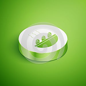 Isometric Fish soup icon isolated on green background. White circle button. Vector.