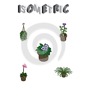 Isometric Flower Set Of Blossom, Grower, Flowerpot And Other Vector Objects. Also Includes Flower, Plant, Pot Elements.