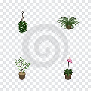 Isometric Flower Set Of Fern, Blossom, Grower And Other Vector Objects. Also Includes Flowerpot, Flower, Blossom Elements.