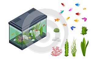 Isometric Goldfish in the Freshwater Aquarium and Set of Aquarium Underwater Elements, Fish, Corals, Green Planted