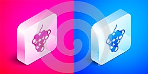 Isometric Grape fruit icon isolated on pink and blue background. Silver square button. Vector