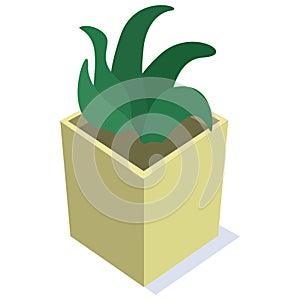 Isometric green home plant in a square beige pot.