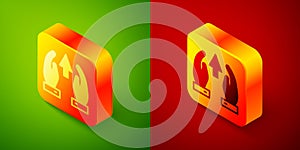 Isometric Growth chart and progress in people crowd icon isolated on green and red background. Arrow finance up